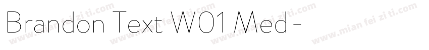 Brandon Text W01 Med字体转换